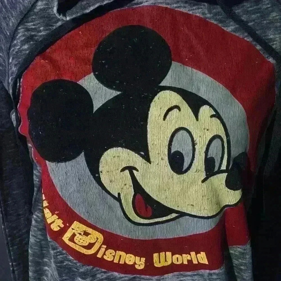 Disney Parks Walt Disney World Mickey Sweatshirt Hoodie Adult sz M EUC grey - Picture 2 of 4